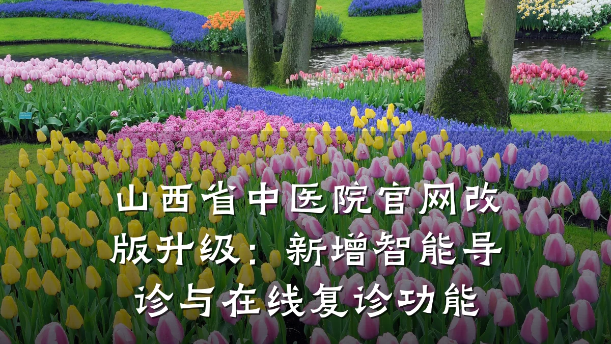 山西省中医院官网改版升级:新增智能导诊与在线复诊功能