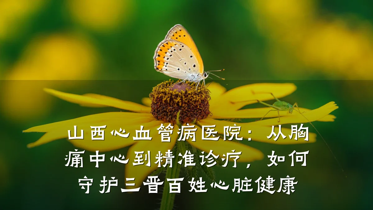 山西心血管病医院:从胸痛中心到精准诊疗,如何守护三晋百姓心脏健康