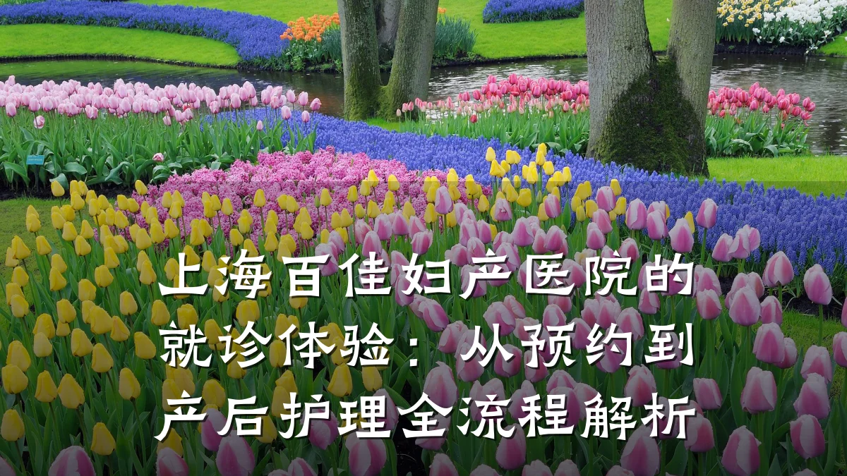 上海百佳妇产医院的就诊体验:从预约到产后护理全流程解析