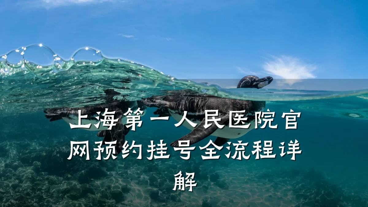 上海第一人民医院官网预约挂号全流程详解