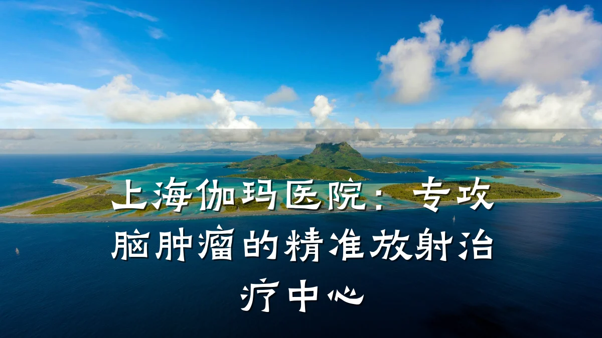 上海伽玛医院:专攻脑肿瘤的精准放射治疗中心