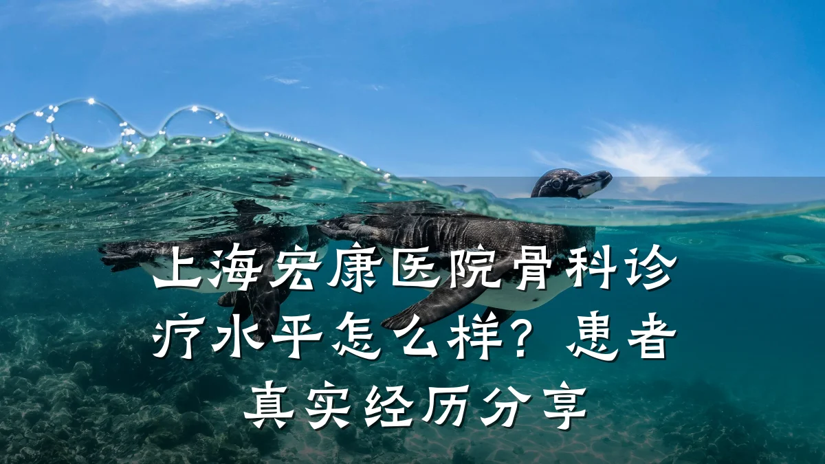 上海宏康医院骨科诊疗水平怎么样?患者真实经历分享