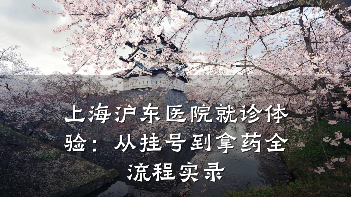上海沪东医院就诊体验:从挂号到拿药全流程实录