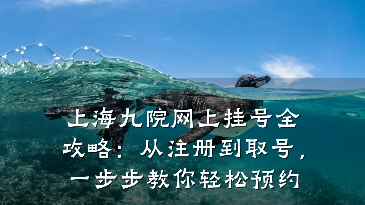 上海九院网上挂号全攻略:从注册到取号,一步步教你轻松预约