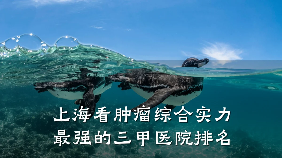 上海看肿瘤综合实力最强的三甲医院排名