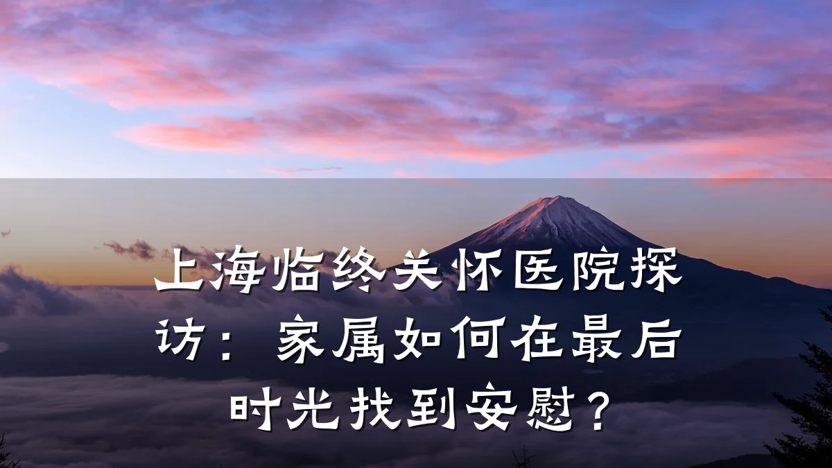 上海临终关怀医院探访：家属如何在最后时光找到安慰？