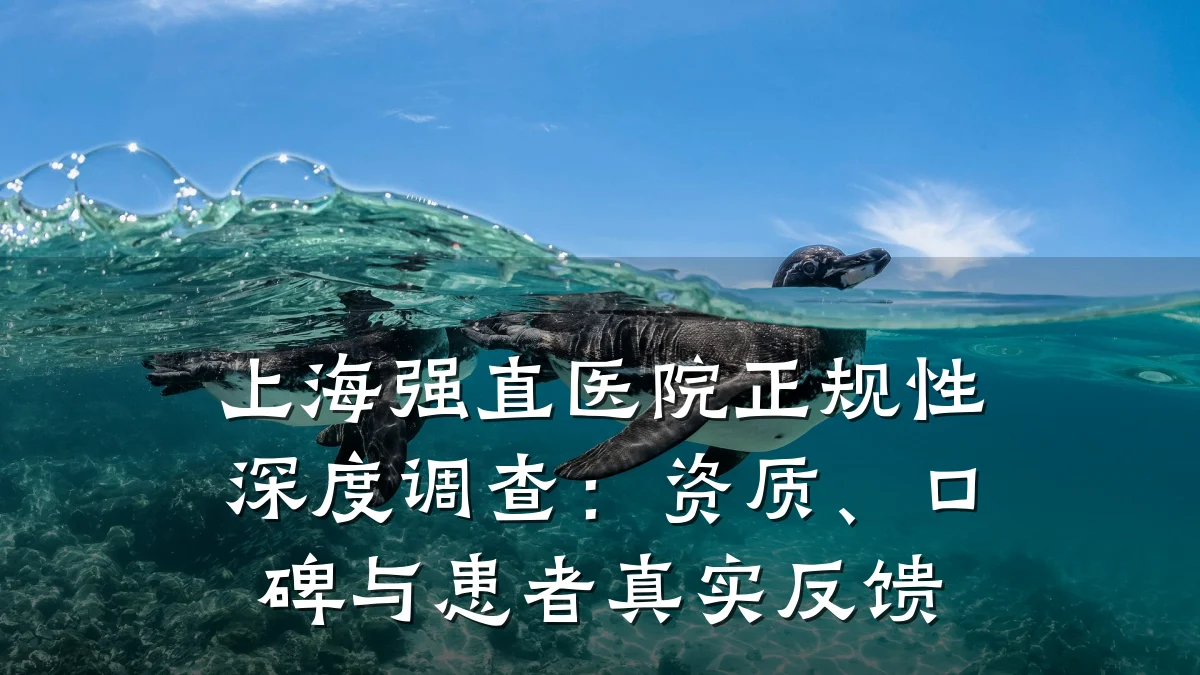 上海强直医院正规性深度调查：资质、口碑与患者真实反馈