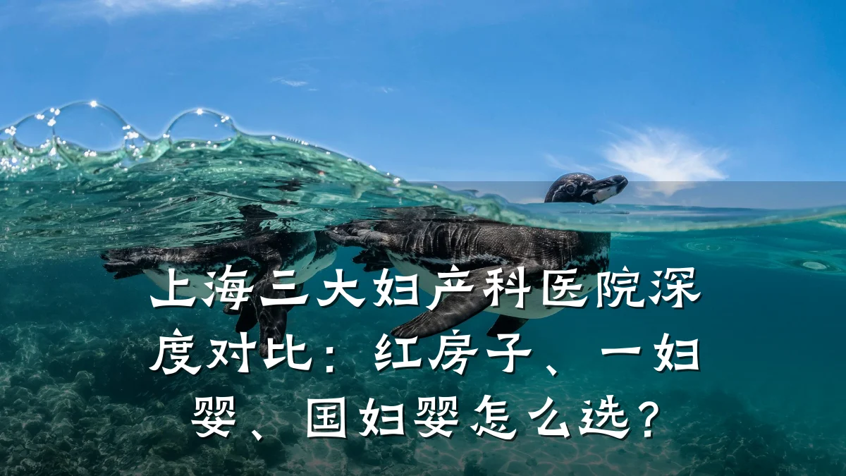 上海三大妇产科医院深度对比:红房子、一妇婴、国妇婴怎么选?