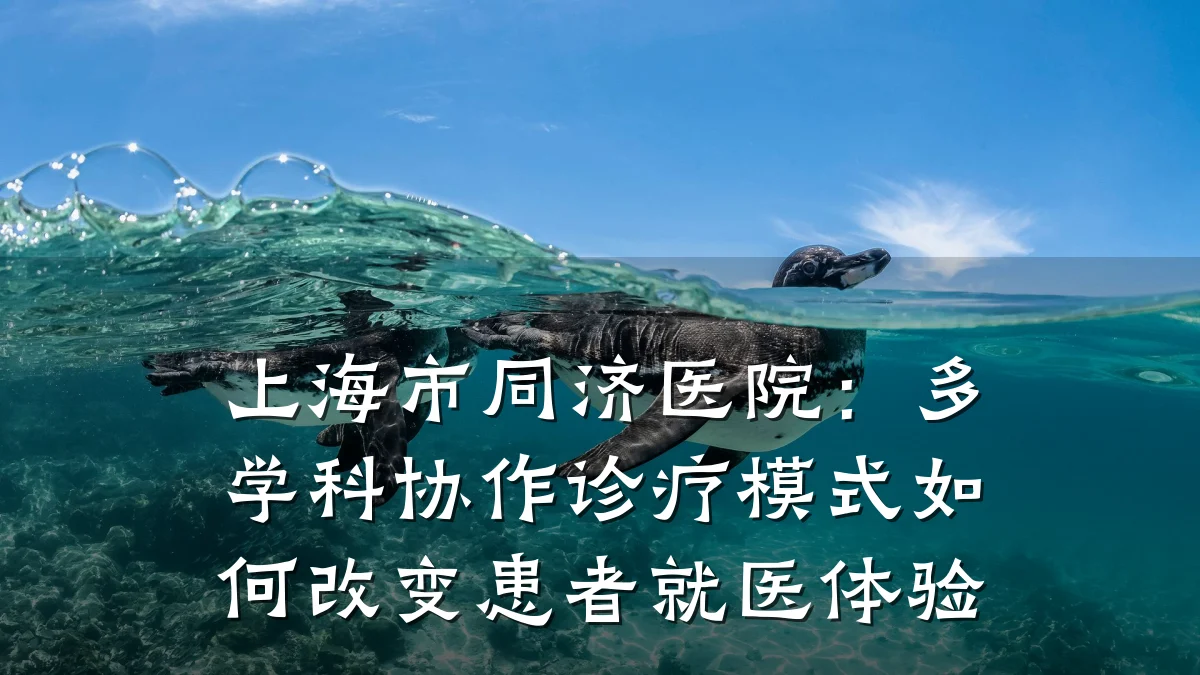 上海市同济医院:多学科协作诊疗模式如何改变患者就医体验