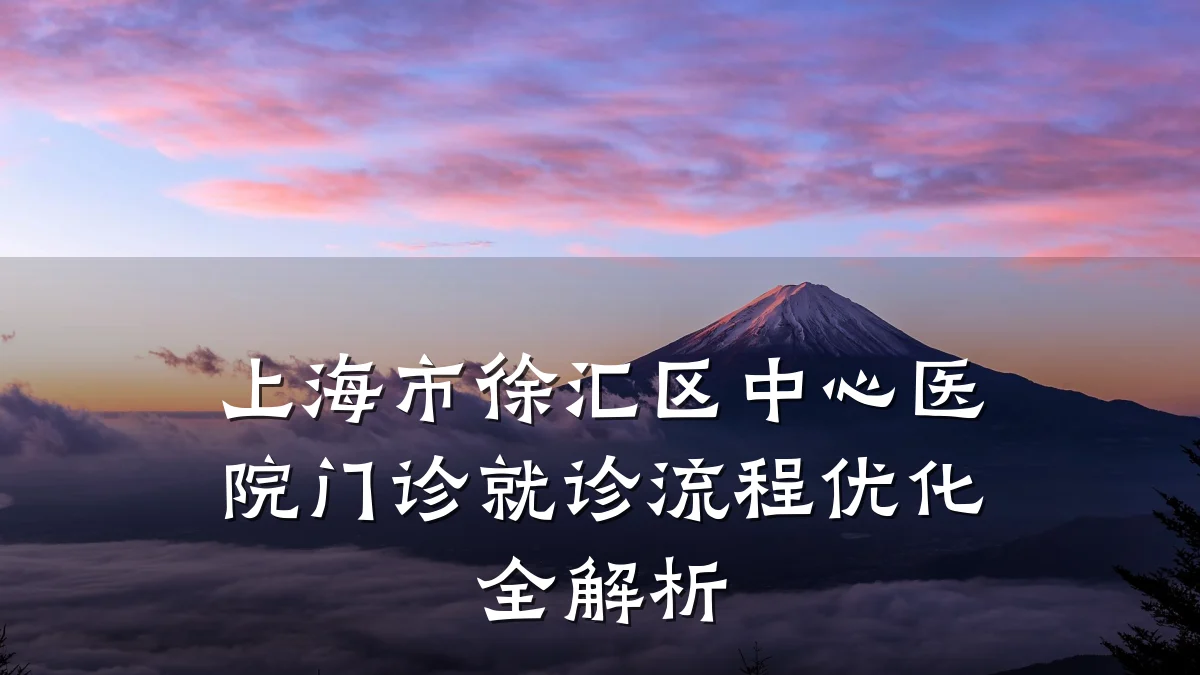 上海市徐汇区中心医院门诊就诊流程优化全解析