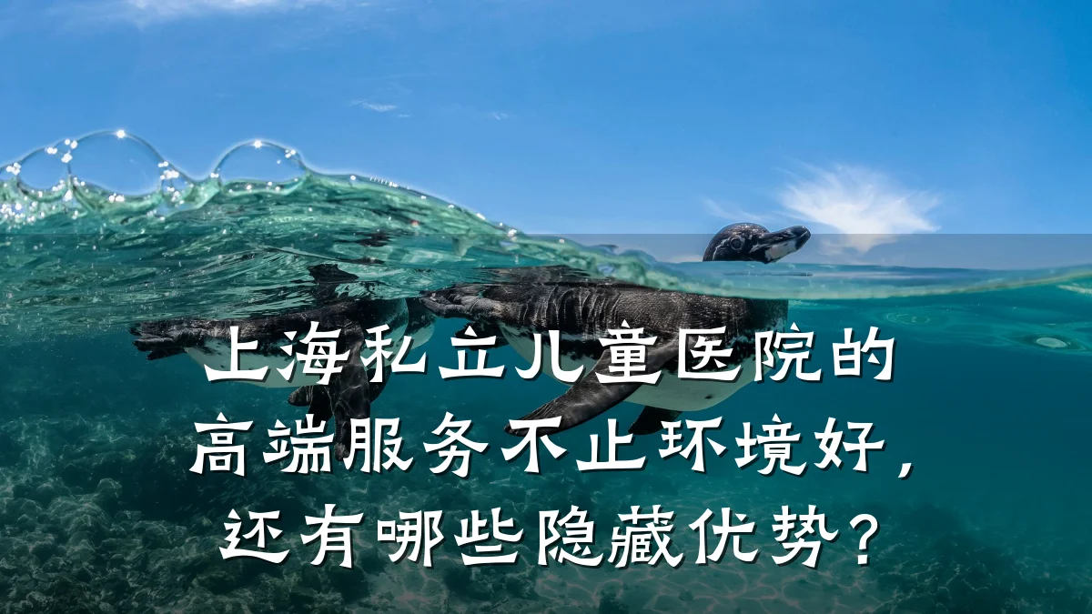 上海私立儿童医院的高端服务不止环境好,还有哪些隐藏优势?
