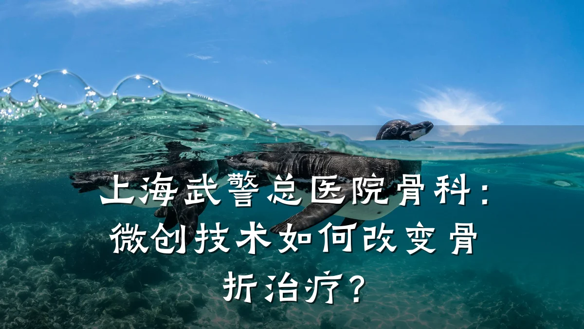 上海武警总医院骨科：微创技术如何改变骨折治疗？