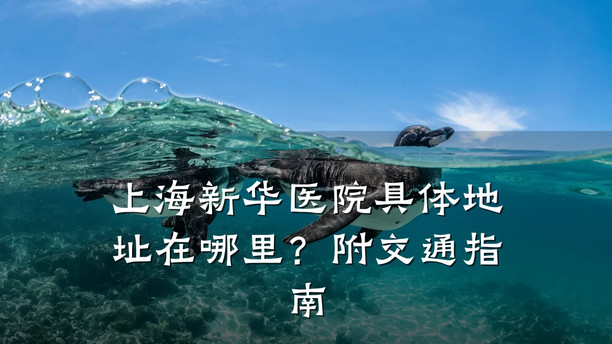 上海新华医院具体地址在哪里？附交通指南
