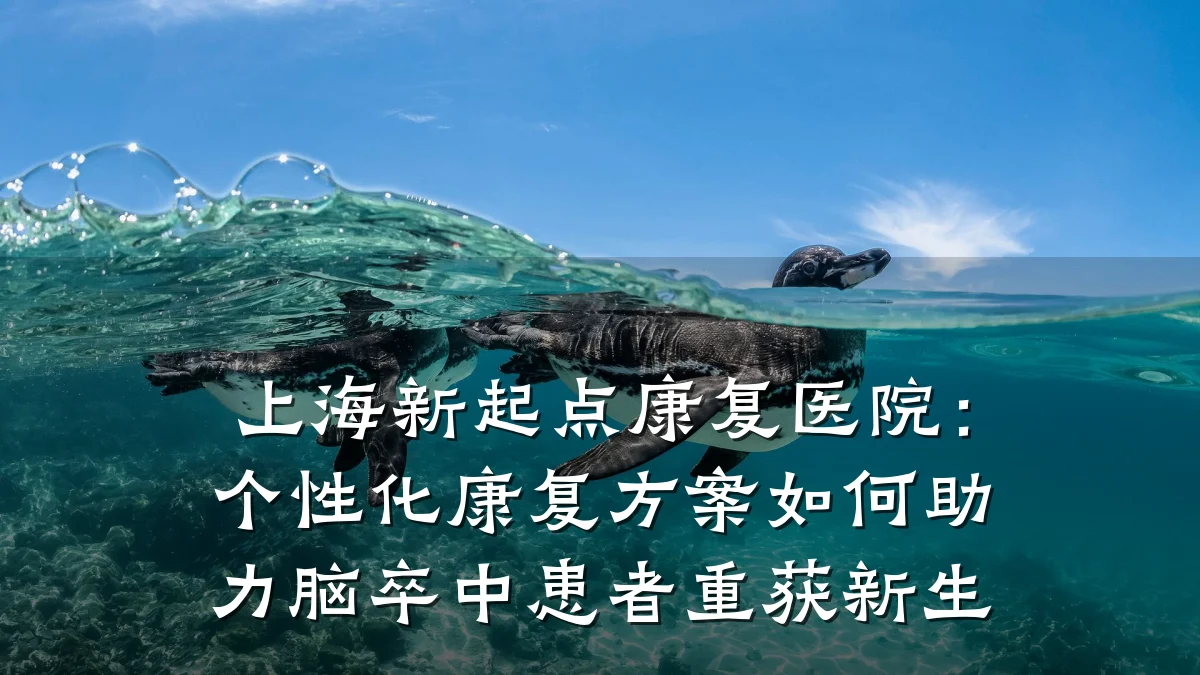上海新起点康复医院:个性化康复方案如何助力脑卒中患者重获新生