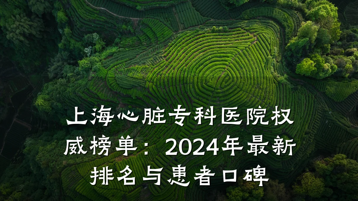 上海心脏专科医院权威榜单:2024年最新排名与患者口碑