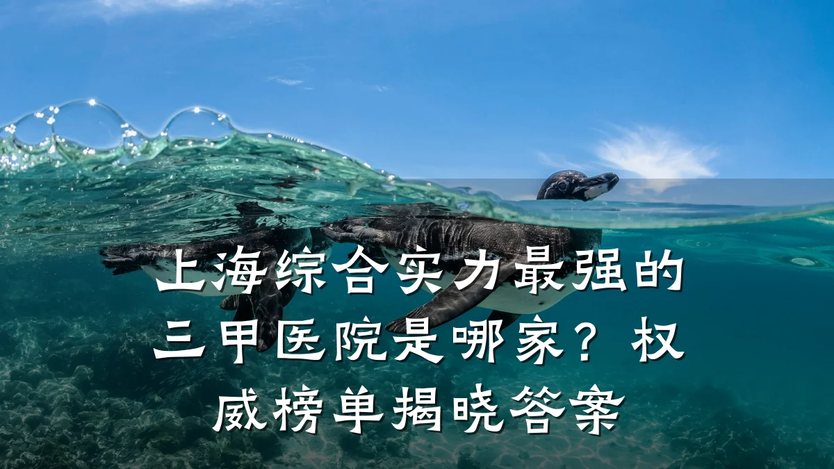 上海综合实力最强的三甲医院是哪家？权威榜单揭晓答案