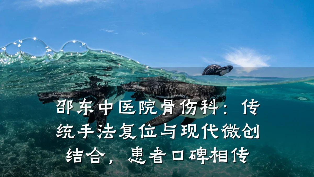 邵东中医院骨伤科:传统手法复位与现代微创结合,患者口碑相传