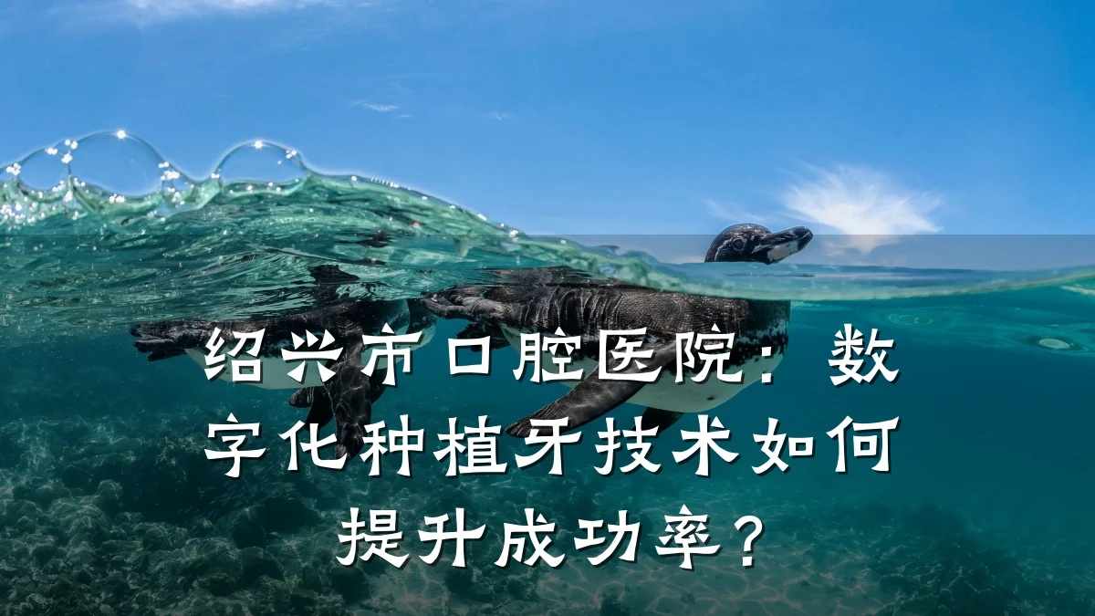 绍兴市口腔医院:数字化种植牙技术如何提升成功率?