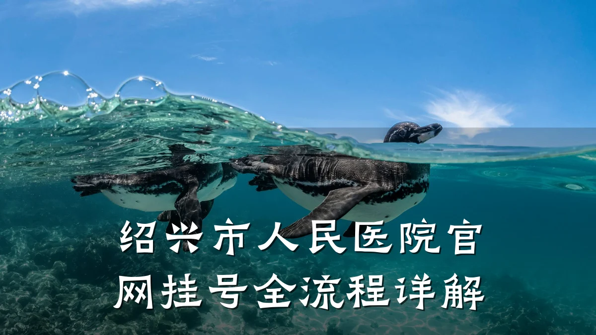 绍兴市人民医院官网挂号全流程详解