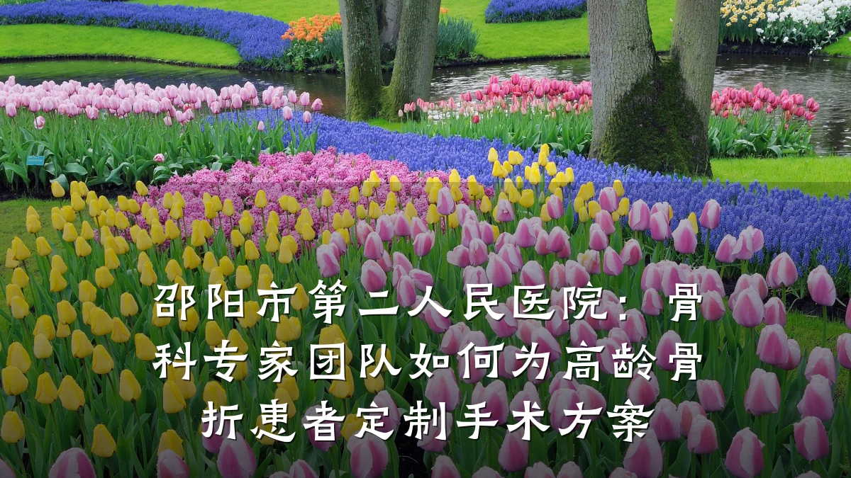 邵阳市第二人民医院:骨科专家团队如何为高龄骨折患者定制手术方案
