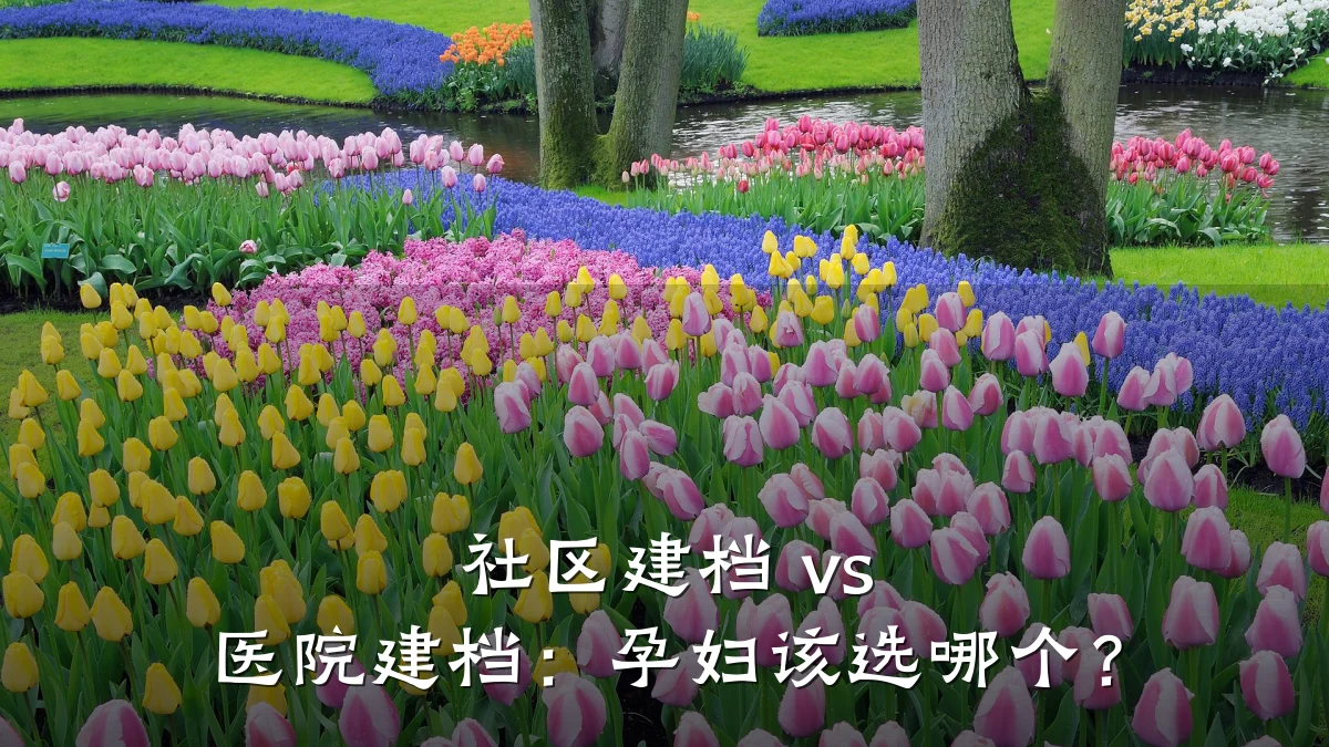 社区建档 vs 医院建档:孕妇该选哪个?