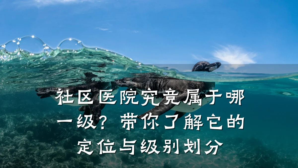 社区医院究竟属于哪一级？带你了解它的定位与级别划分