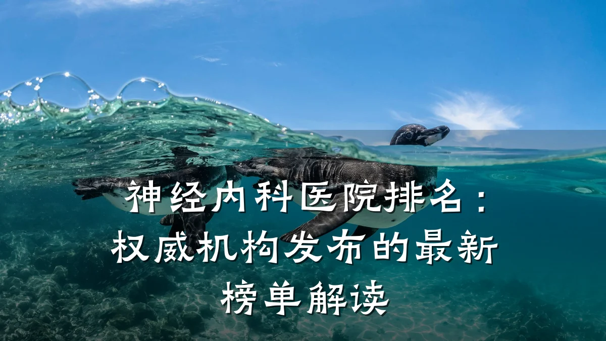 神经内科医院排名：权威机构发布的最新榜单解读