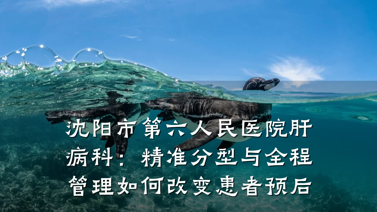 沈阳市第六人民医院肝病科:精准分型与全程管理如何改变患者预后