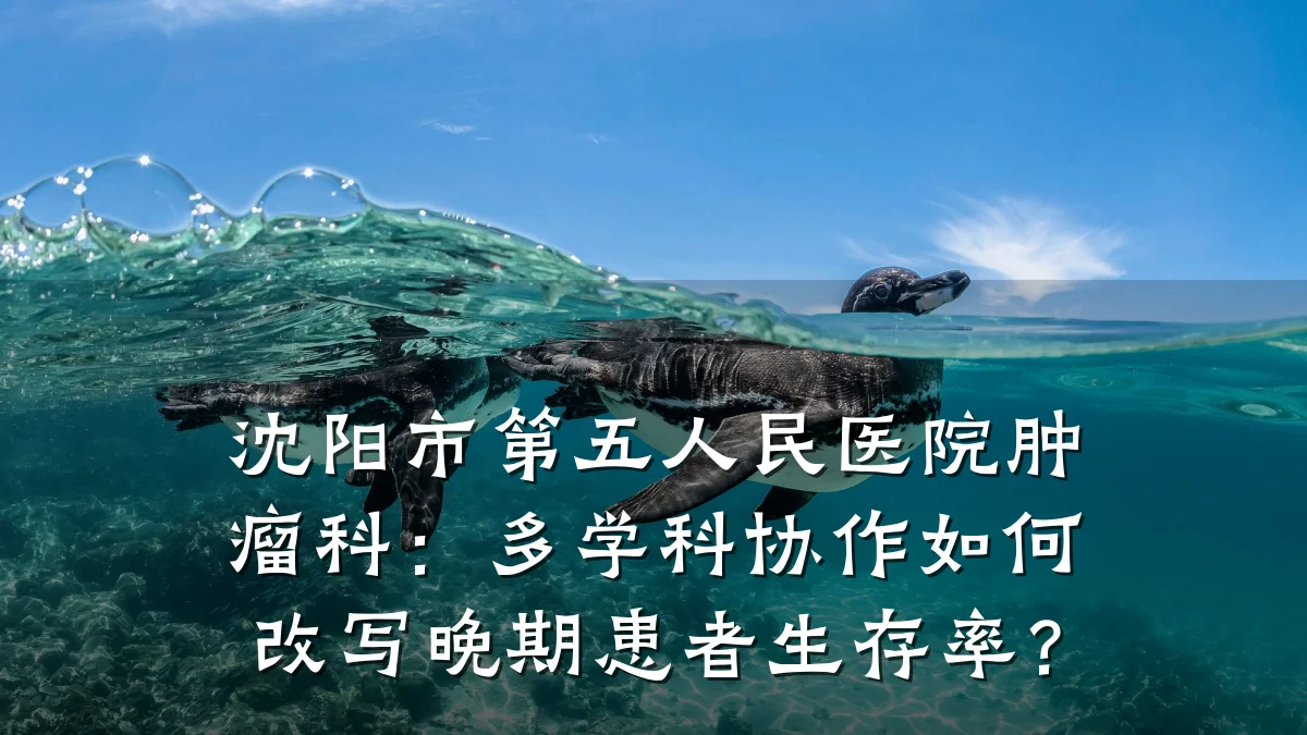 沈阳市第五人民医院肿瘤科:多学科协作如何改写晚期患者生存率?
