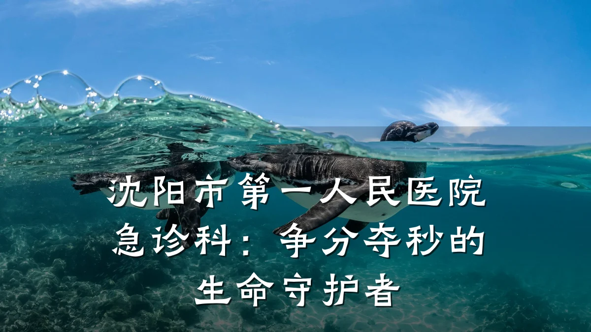 沈阳市第一人民医院急诊科:争分夺秒的生命守护者