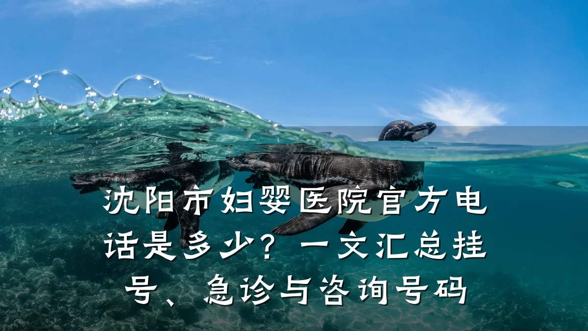 沈阳市妇婴医院官方电话是多少?一文汇总挂号、急诊与咨询号码