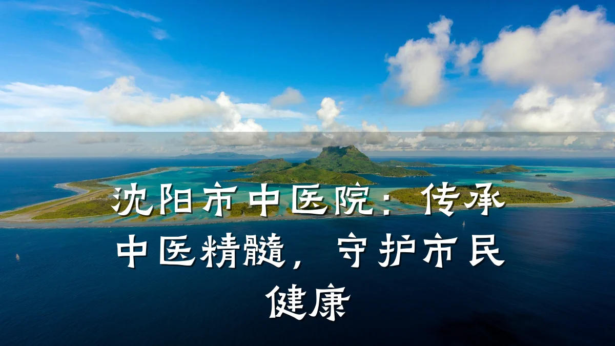 沈阳市中医院:传承中医精髓,守护市民健康