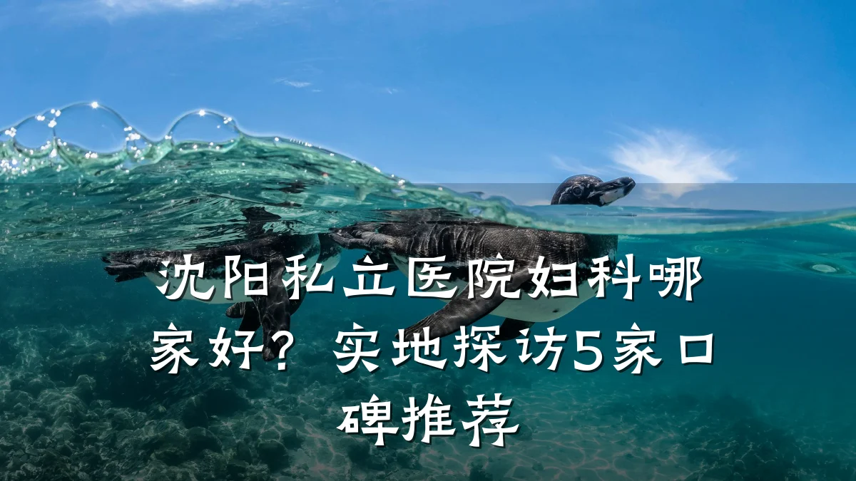 沈阳私立医院妇科哪家好?实地探访5家口碑推荐