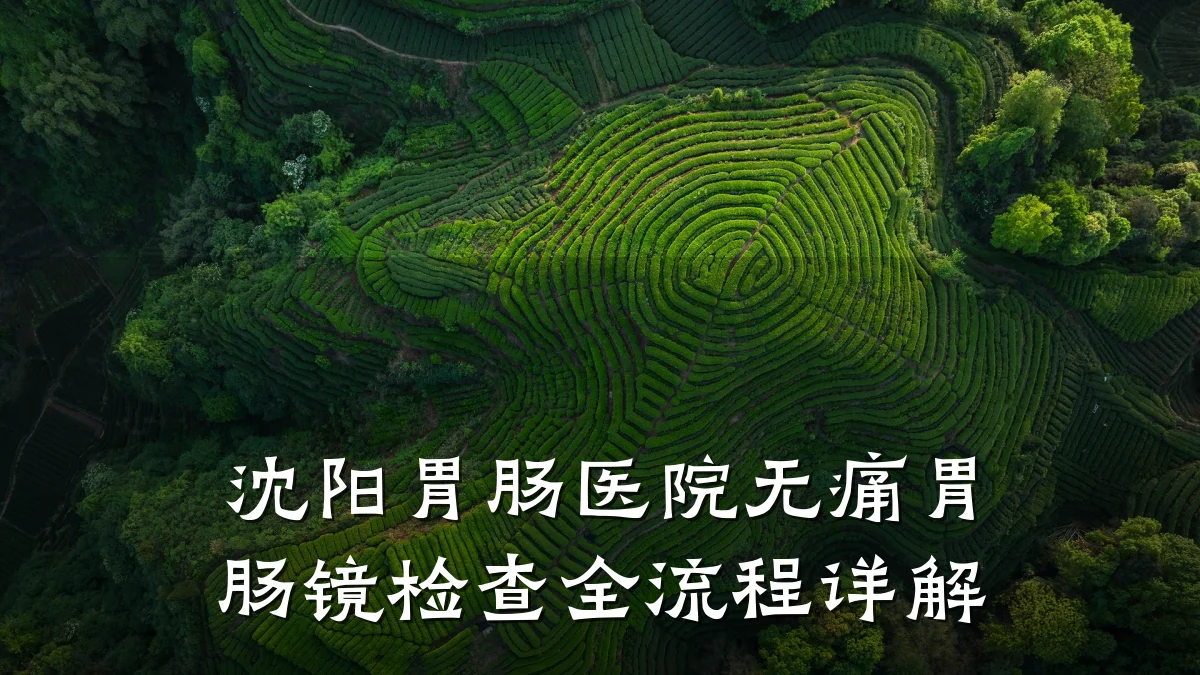 沈阳胃肠医院无痛胃肠镜检查全流程详解