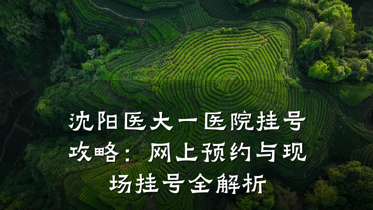 沈阳医大一医院挂号攻略:网上预约与现场挂号全解析