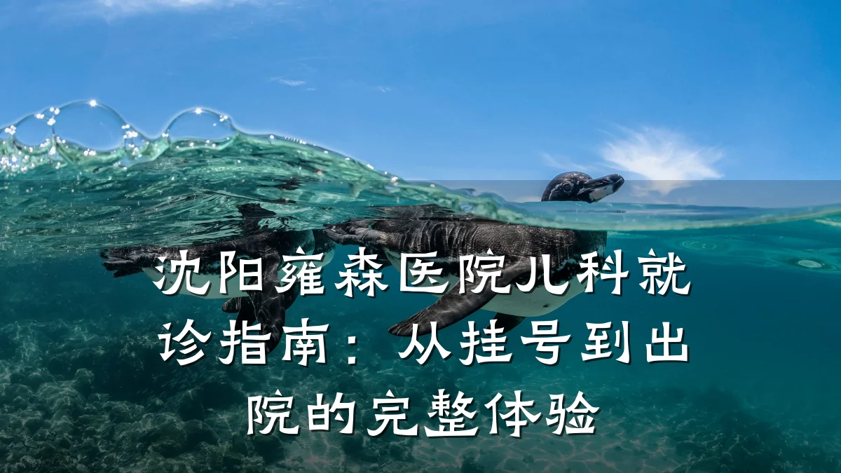 沈阳雍森医院儿科就诊指南：从挂号到出院的完整体验