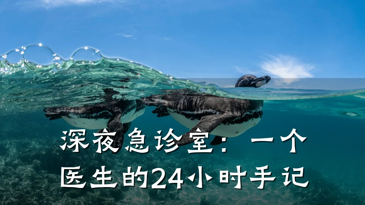 深夜急诊室:一个医生的24小时手记