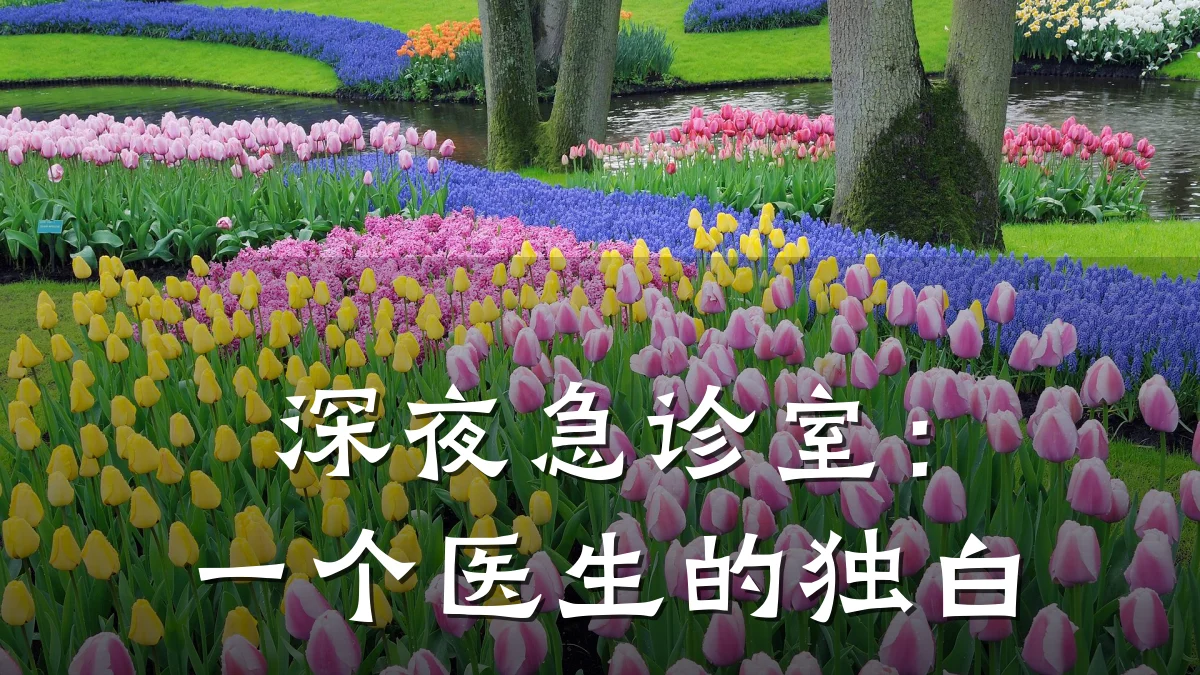 深夜急诊室:一个医生的独白