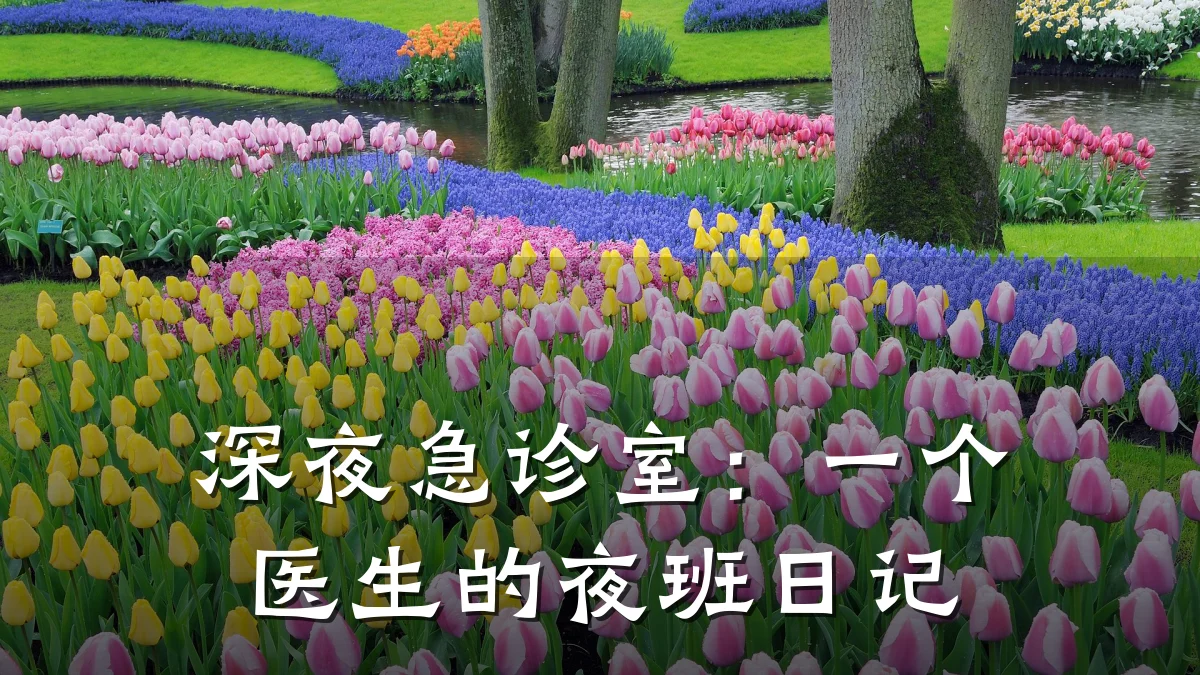 深夜急诊室：一个医生的夜班日记