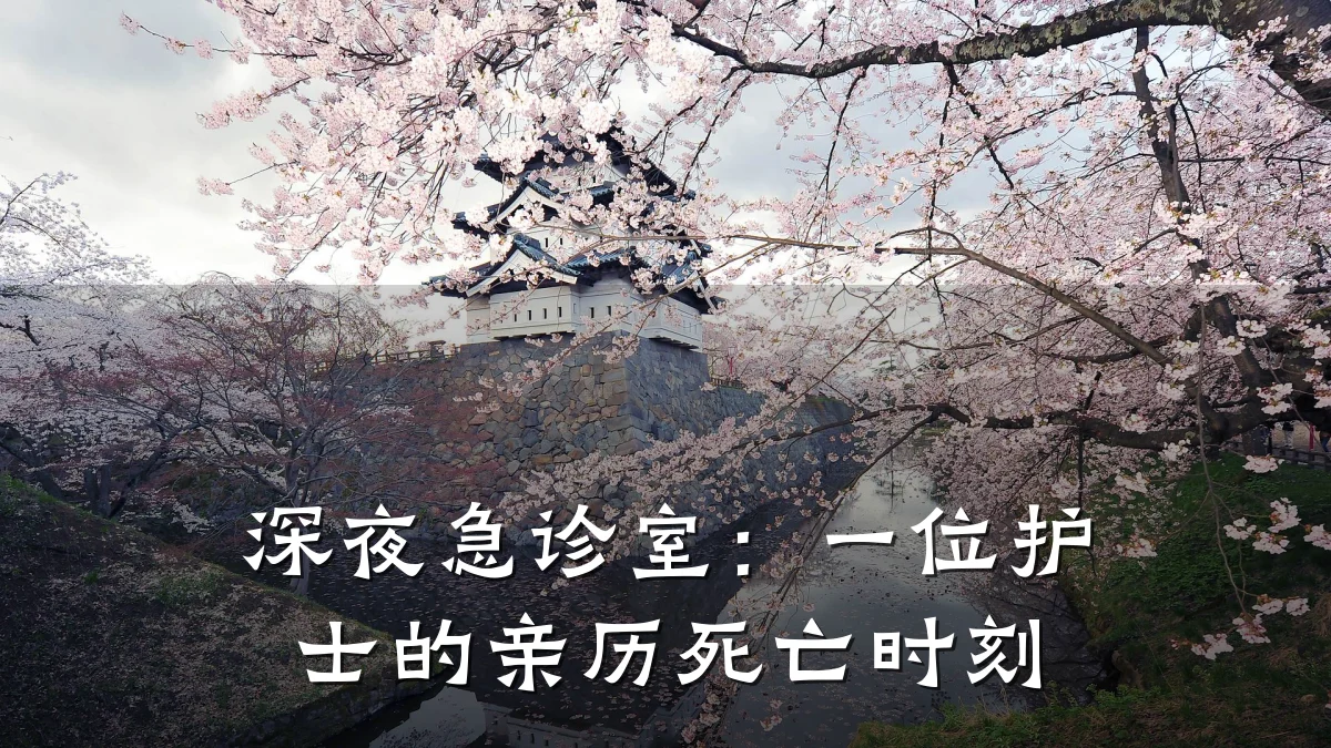 深夜急诊室：一位护士的亲历死亡时刻