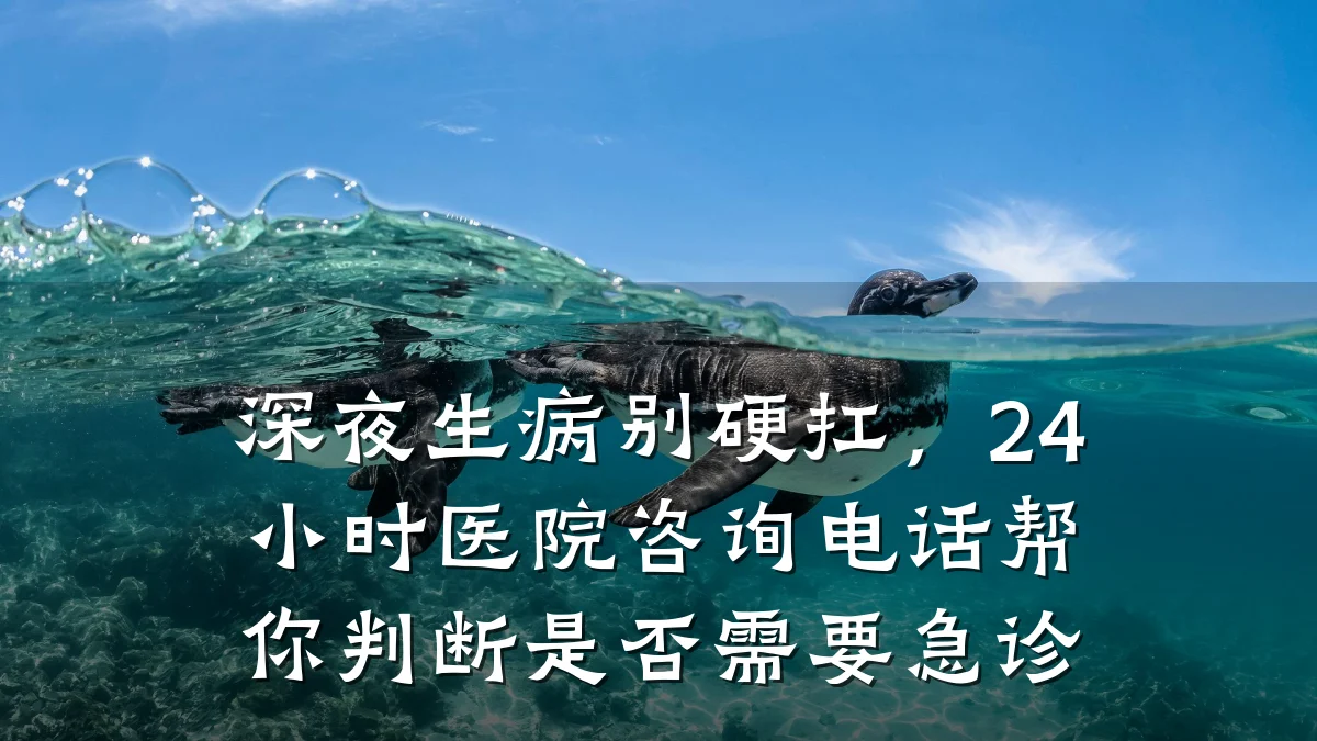 深夜生病别硬扛,24小时医院咨询电话帮你判断是否需要急诊