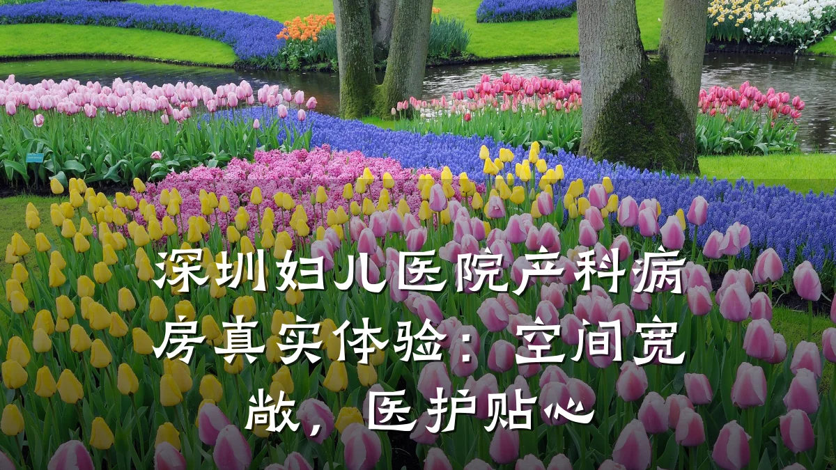 深圳妇儿医院产科病房真实体验:空间宽敞,医护贴心