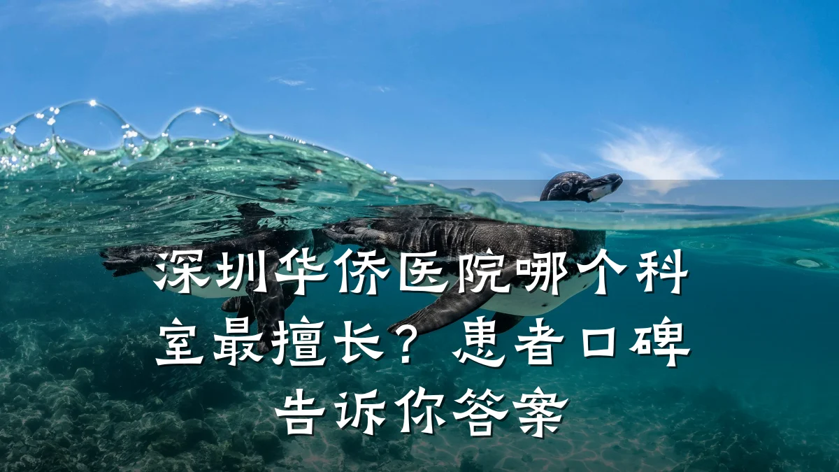 深圳华侨医院哪个科室最擅长?患者口碑告诉你答案