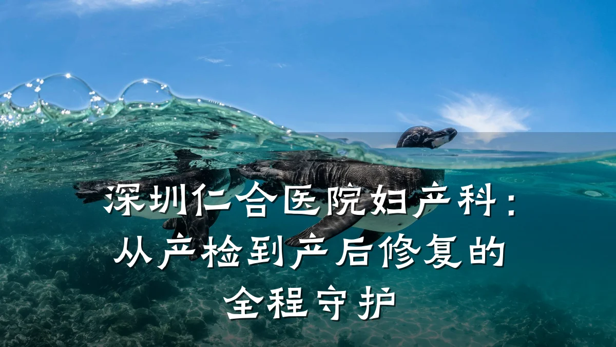深圳仁合医院妇产科：从产检到产后修复的全程守护