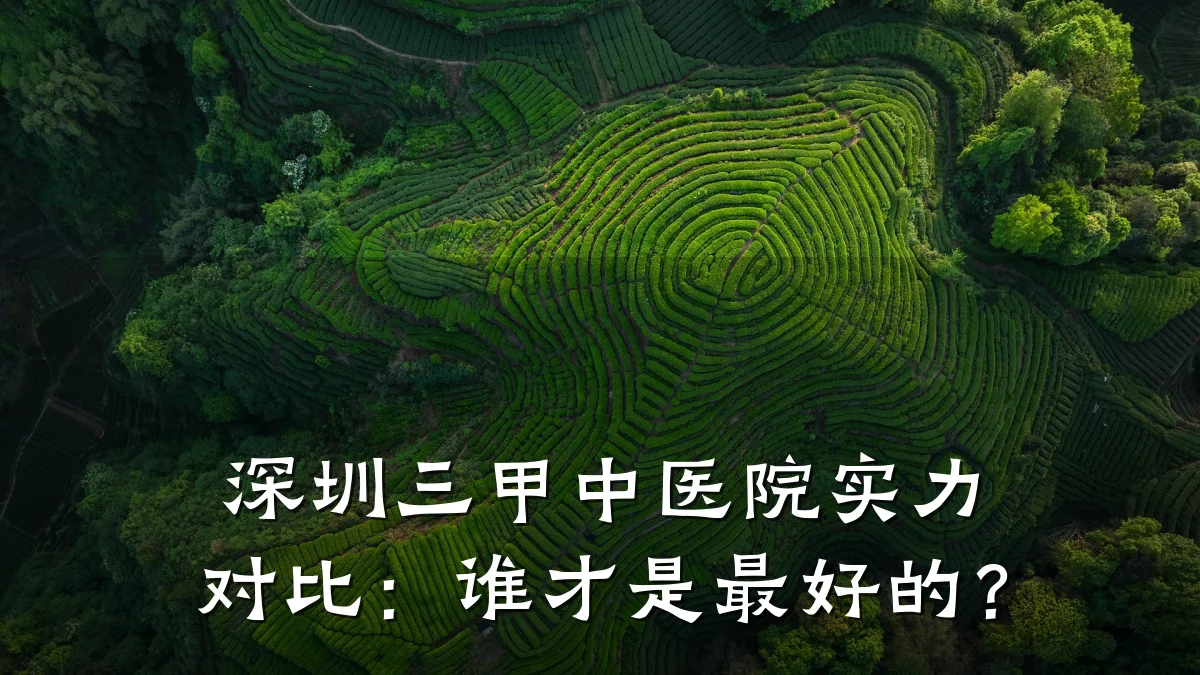 深圳三甲中医院实力对比：谁才是最好的？