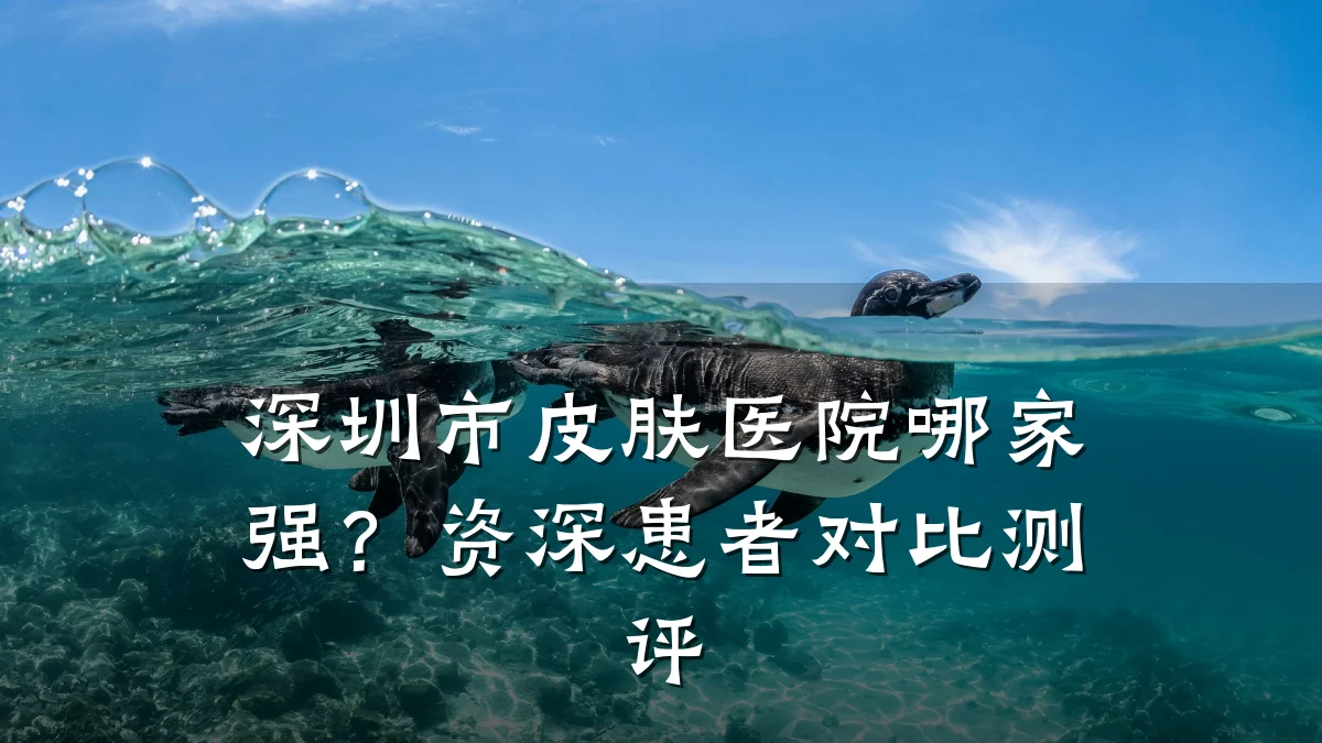 深圳市皮肤医院哪家强？资深患者对比测评