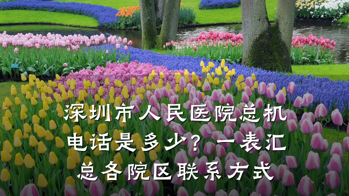 深圳市人民医院总机电话是多少？一表汇总各院区联系方式
