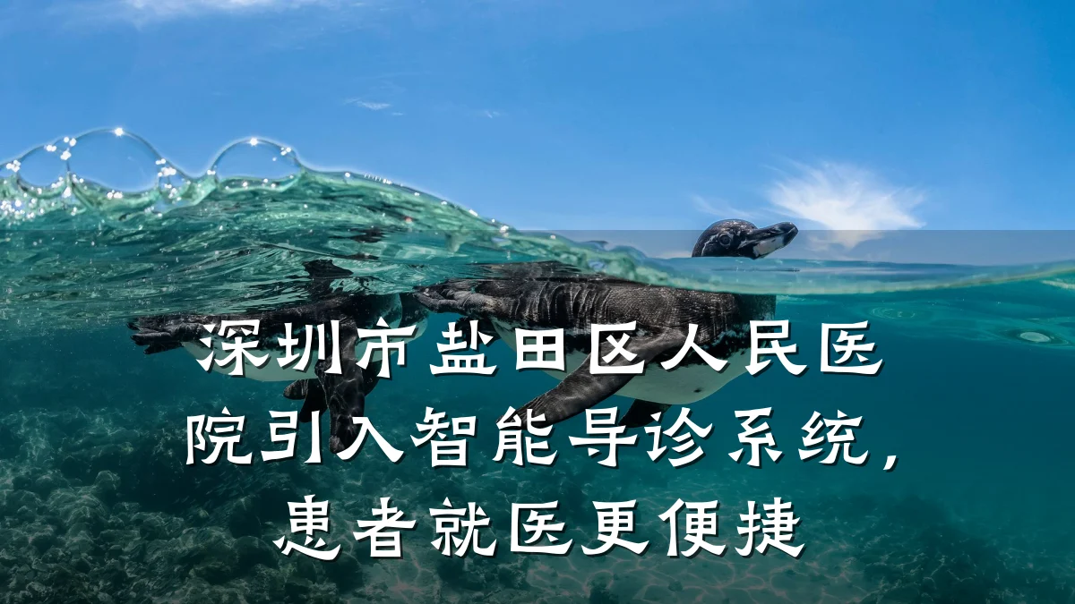 深圳市盐田区人民医院引入智能导诊系统，患者就医更便捷