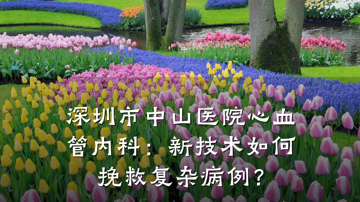 深圳市中山医院心血管内科：新技术如何挽救复杂病例？