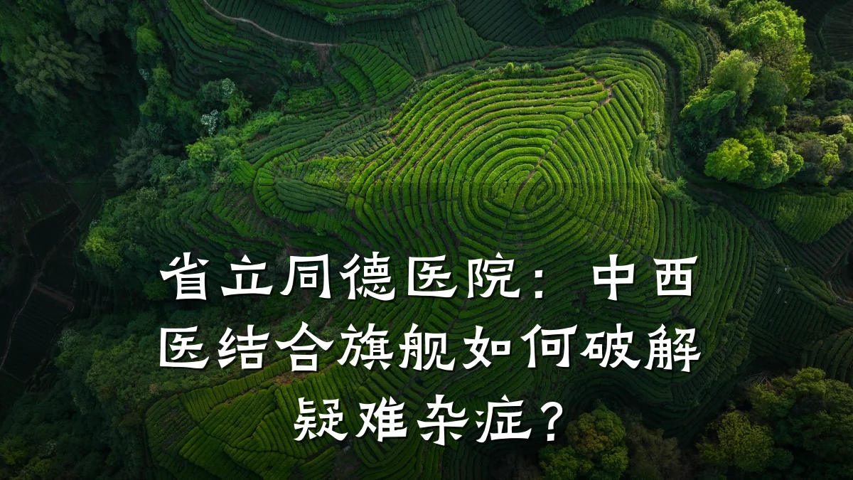 省立同德医院:中西医结合旗舰如何破解疑难杂症?